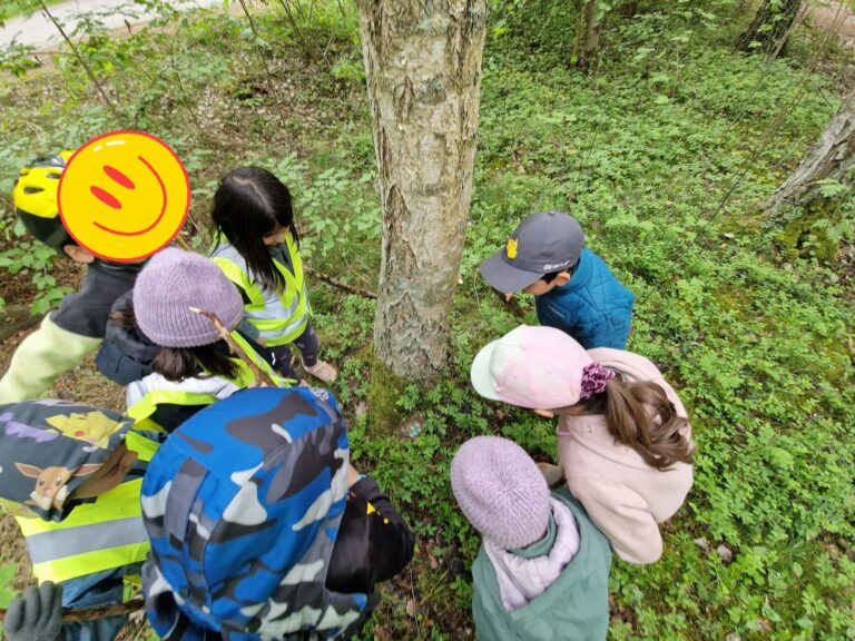 🌳👨‍👩‍👧‍👦🌲🌟 En härlig föreningsaktivitet ute i naturen!